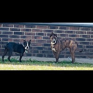 Meet your Posher, Patrick